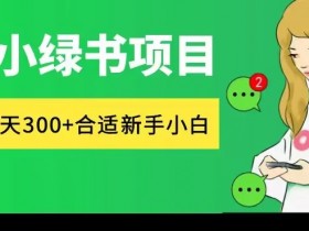 微信小绿书项目，纯搬运，日入300+，每天操作十分钟