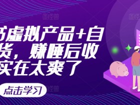 小红书虚拟产品+自动发货,赚睡后收入实在太爽了