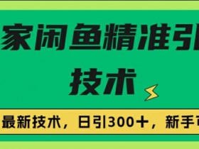 闭鱼精准引流,日引300+创业粉保姆级教程,新手可做