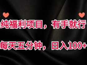 纯福利项目,有手就行,每天五分钟,日入100+