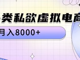全品类私欲虚拟电商,月入8000+【揭秘】