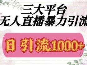 三大平台无人直播引流,吸引精准创业粉