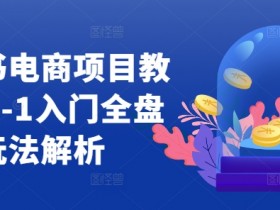 小红书电商项目教程,0-1入门全盘玩法解析