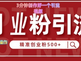 快手被动引流创业粉500+的玩法,3分钟制作好一个引流视频,轻松简单好操作【揭秘】