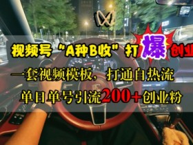 视频号“A种B收”打爆创业粉,一套视频模板打通自热流,单日单号引流200+创业粉