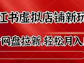 小红书虚拟店铺新玩法，结合网盘拉新，轻松月入1w