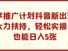 小程序推广计划抖音新出玩法,官方大力扶持,轻松实操,小白也能日入5张【揭秘】
