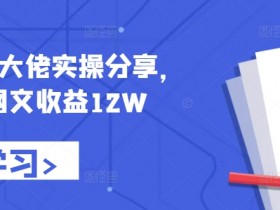 小说推文大佬实操分享，悟空网文收益12W