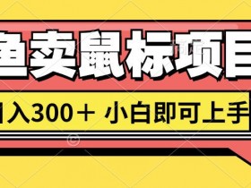 想当年我在闲鱼创业卖鼠标无人敢与我争第一,如今你也想听听我的经历吗?