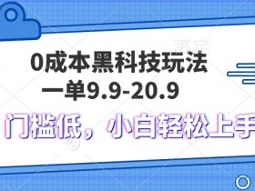 黑科技玩法2.0,一单9.9.不挑人,小白当天上手,作品纯靠黑科技
