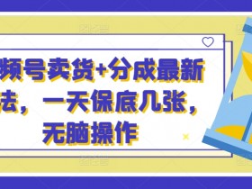 视频号卖货+分成最新玩法,一天保底几张,无脑操作