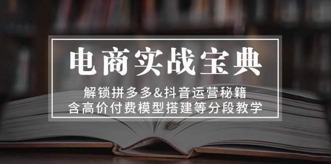 电子商务实战演练秘笈:开启拼多多平台&自媒体运营秘笈,含高价位付钱模型搭建等按段课堂教学