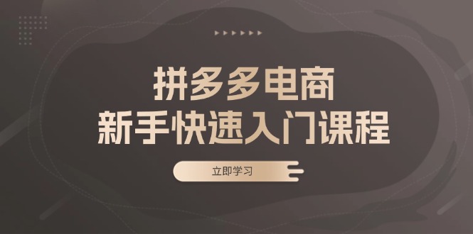 (13289期)拼多多电商新手快速入门课程:涵盖基础、实战与选款,助力小白轻松上手