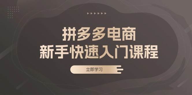 拼多多电商初学者迅速入门课程:包含基本、实战演练与选品,助推新手快速上手