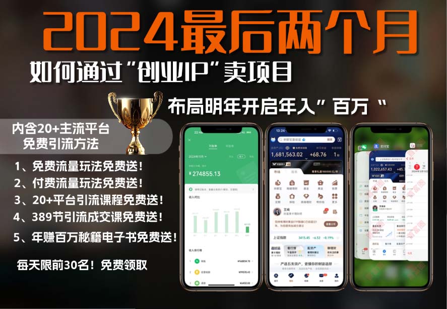 (13322期)2024最后两个月怎样通过”自主创业IP“卖项目年收入”上百万“,自主创业IP 最牛引流方法…