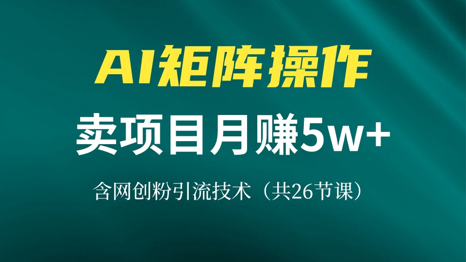 (13335期)网创IP打造出课,依靠AI卖项目月赚5万 ,含引流技术(共26堂课)