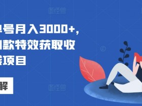 视频号单号月入3000+,利用拍同款特效获取收益,捡钱项目