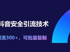 11月抖音安全引流技术,单日引流300+,可批量复制