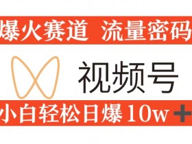 0粉在视频号爆火赛道流量密码,模式全方位,小白轻松日爆10w+流量