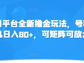 冷门平台全新撸金玩法,号称单机日入80+,可矩阵可放大