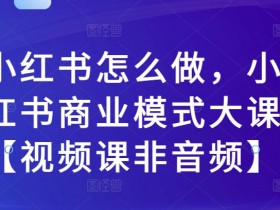 小红书怎么做,小红书商业模式大课【视频课非音频】
