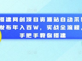 搭建网创项目资源站自动采集发布年入百W,实战全流程,手把手教你搭建【揭秘】