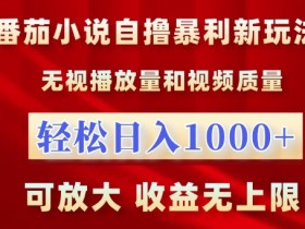 番茄小说自撸暴利新玩法，无视播放量，轻松日入1k，可放大，收益无上限【揭秘】