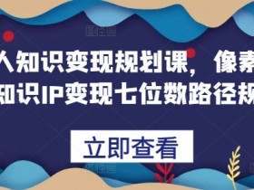 普通人知识变现规划课,像素级拆解知识IP变现七位数路径规划