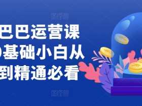 阿里巴巴运营课程，0基础小白从入门到精通必看
