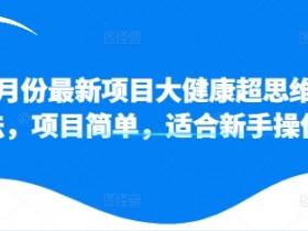 11月份最新项目大健康超思维打法,项目简单,适合新手操作