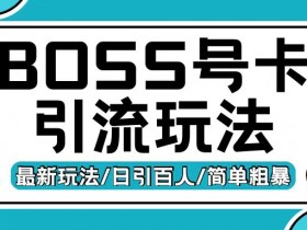 Boss直聘流量卡引流变现玩法,日引200+创业粉【揭秘】