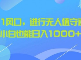 借助双11风口,进行无人值守直播带货,小白也能日入1k