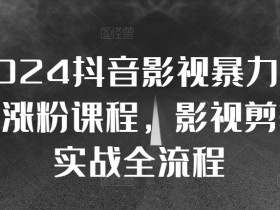 2024抖音影视暴力起号涨粉课程,影视剪辑搬运实战全流程