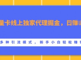 流量卡线上独家代理掘金,日入1k+ ,多种引流模式,新手小白轻松上手【揭秘】