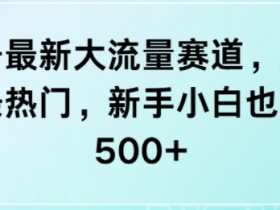 视频号最新大流量赛道,新号也能条条热门,新手小白也能日入5张