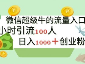 新的引流变现阵地,微信超级牛的流量入口,半小时引流100人,日入1000+创业粉