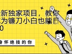全网最新独家项目,教你如何成为镰刀小白也能日入上K