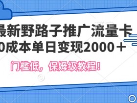 最新野路子推广流量卡,一张200-300,门槛低,0成本单日变现多张