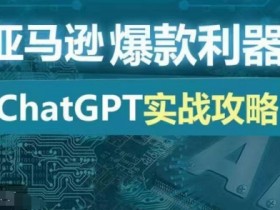 亚马逊爆款利器：ChatGPT实战攻略，以最低的成本和最高的效率打造日出百单的爆品