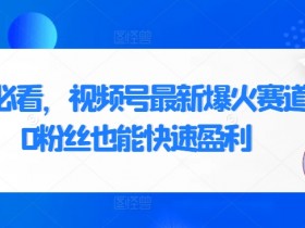 新手必看,视频号最新爆火赛道,0粉丝也能快速盈利
