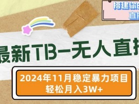 【最新TB-无人直播】11月最新，打造你的日不落直播间，轻松月入过W【揭秘】