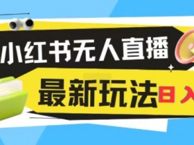 小红书无人直播,全新变现最新玩法,日入1k