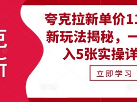 夸克拉新单价11米最新玩法揭秘，一天收入5张实操详解