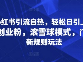 最新小红书引流自热,轻松日引上百精准宝妈创业粉,滚雪球模式,门槛低的新规则玩法