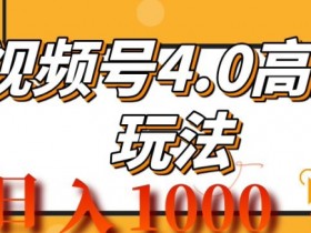 2024视频号4.0高阶变现项目,蓝海风口,日入1k