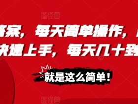 照抄答案,每天简单操作,新手也能快速上手,每天几十到2张