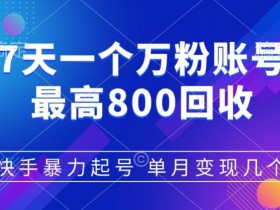 快手暴力起号,7天涨万粉,小白当天起号,多种变现方式,单月变现几个