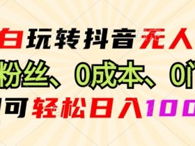 小白玩转抖音无人直播0粉丝、0成本、0门槛,即可轻松日入1k