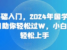 零基础入门,2024年国学视频项目助你轻松过W,小白也能轻松上手