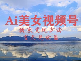 2024最新视频号AI美女跳舞视频玩法,当天见收益
